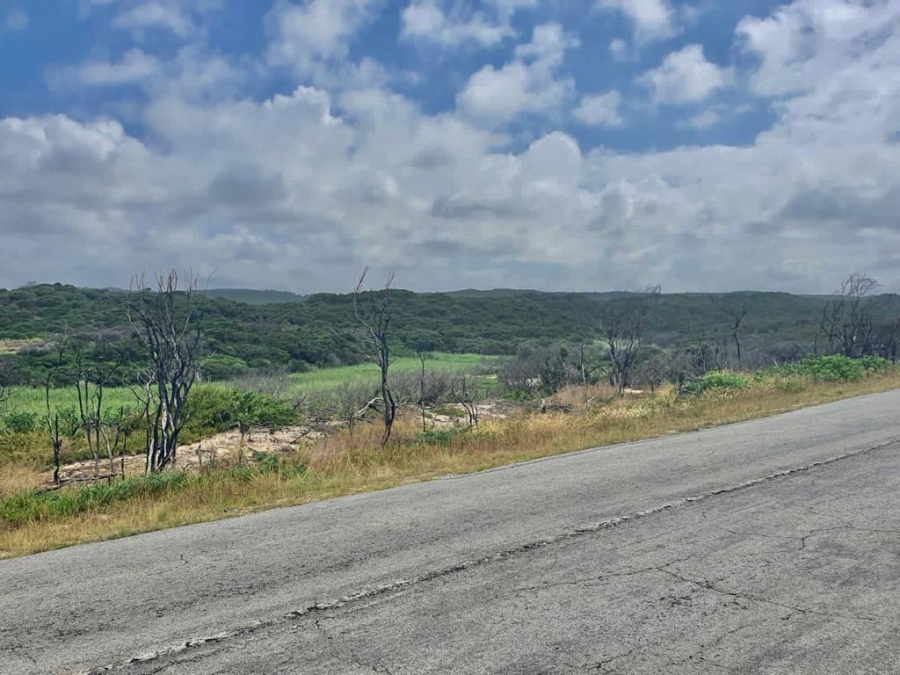 0 Bedroom Property for Sale in Seaview Eastern Cape